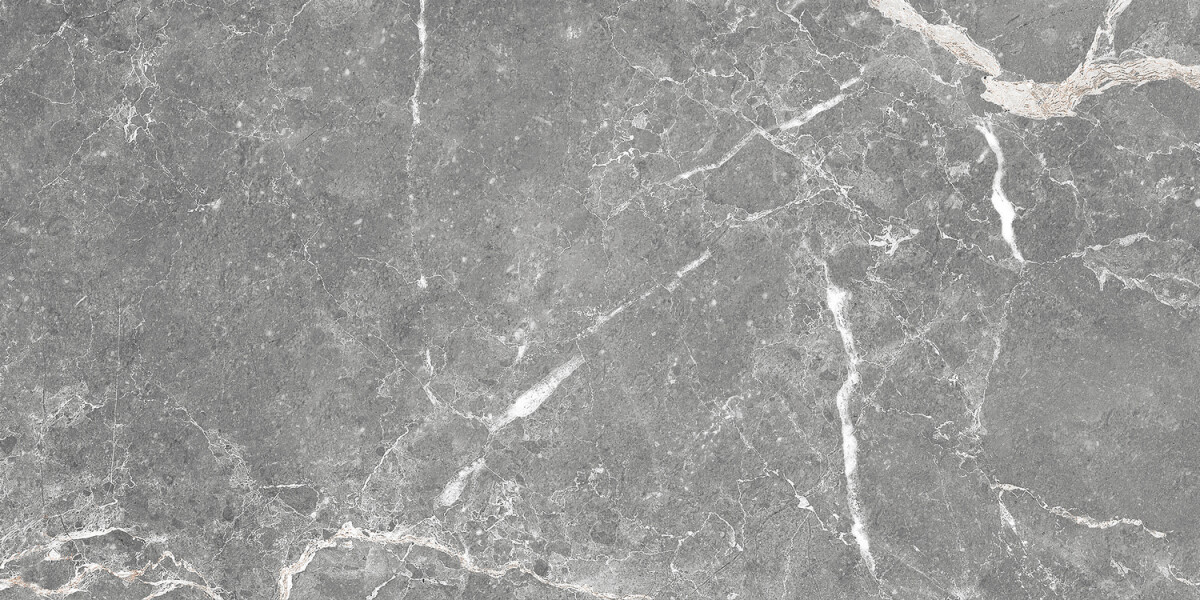 GT99VG Плитка облиц. Capella GT Сер. 50*25 _ 1 74,25