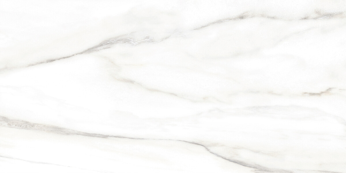 Alma Ceramica Euphoria Керамическая плитка настенная 249 x 500 x 7 TWU2550EPH04