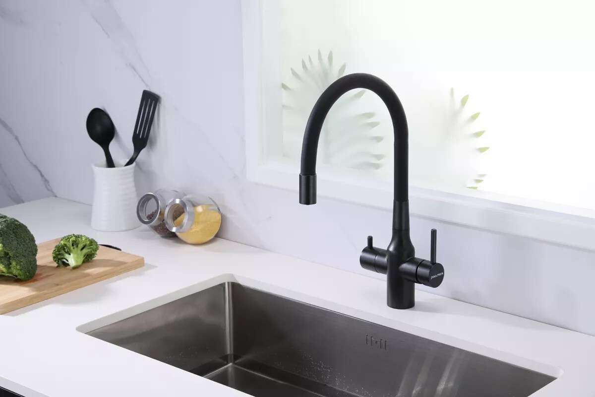 Смеситель для кухни под фильтр с гибким изливом Salix Sa213419-418