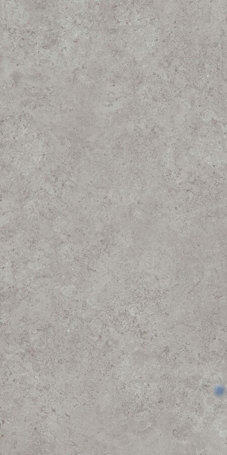 Kerama Marazzi DD590600R Про Лаймстоун АТ серый натуральный обрезной 119,5х238,5 керамогранит