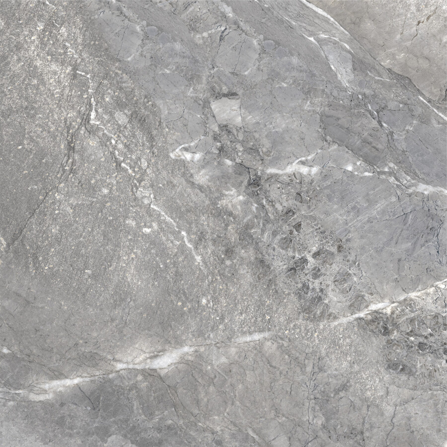 Delacora Wild Dark Керамогранит 600 x 600 x 9.5 D60260M
