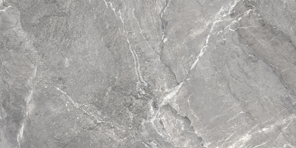 Delacora Wild Dark Керамогранит 600 x 1200 x 9.5 D120260M