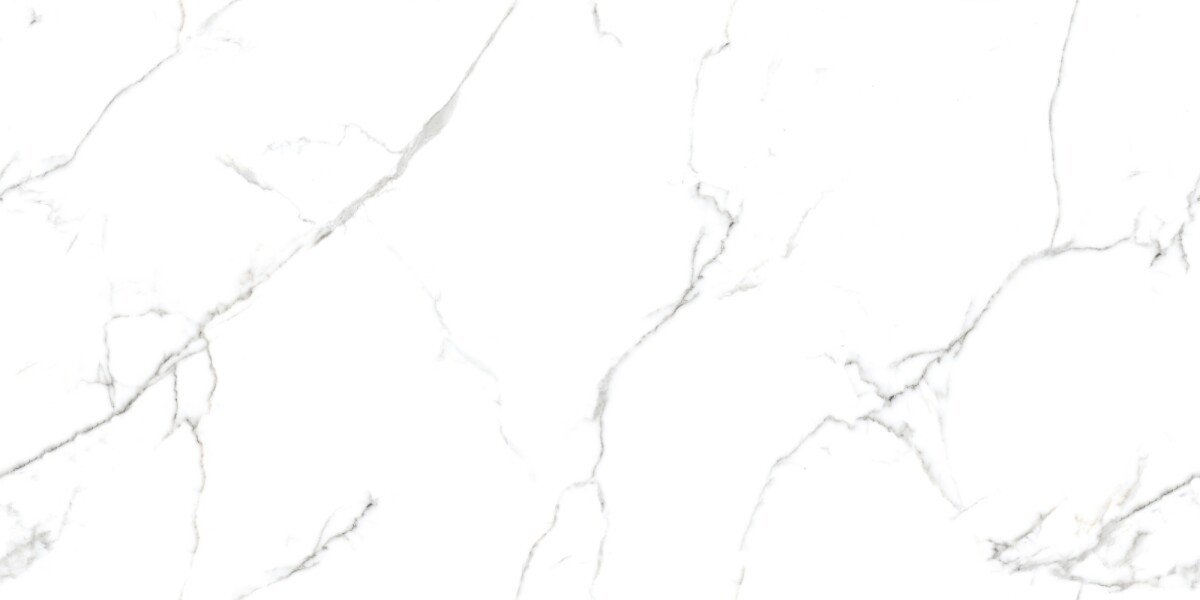Керамогранит 7930138702374 Eurotile Capitol Matt 60x120