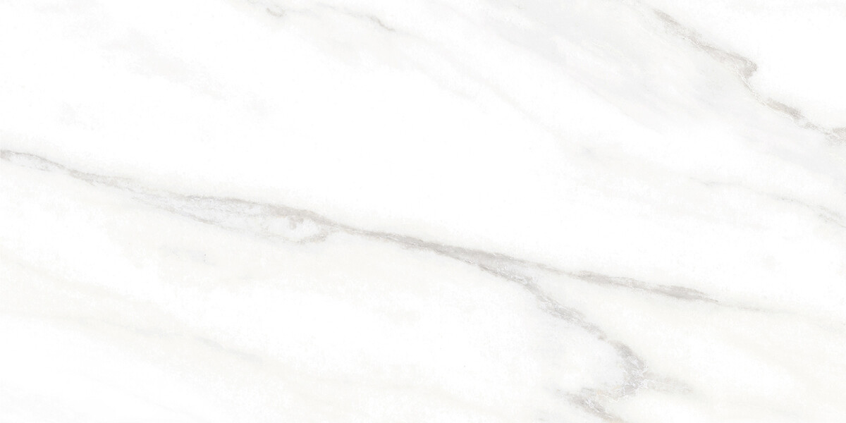 Alma Ceramica Euphoria Керамическая плитка настенная 249 x 500 x 7 TWU2550EPH04