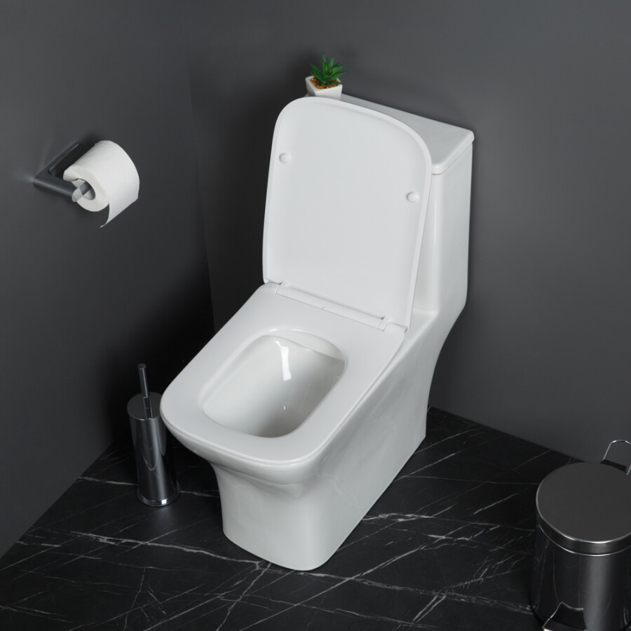 Унитаз-моноблок безободковый с сиденьем BelBagno NEON BB8617CPR-MN/SC