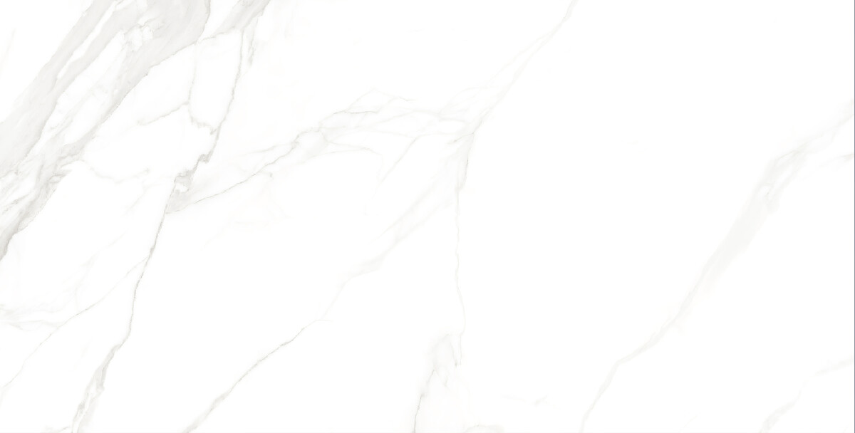 Керамогранит 7930138702428 Eurotile Kinder White Glossy 60x120