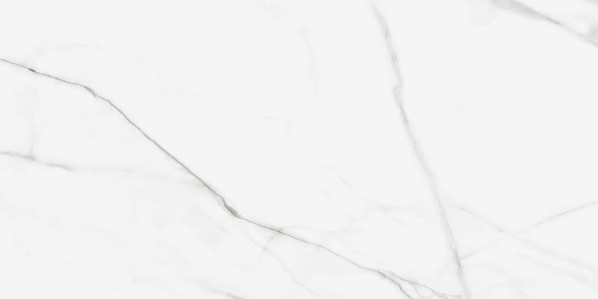 Керамогранит Artkera Group GP60120PUR00M Pure Marble матовый 600 x 1200 x 10 мм.