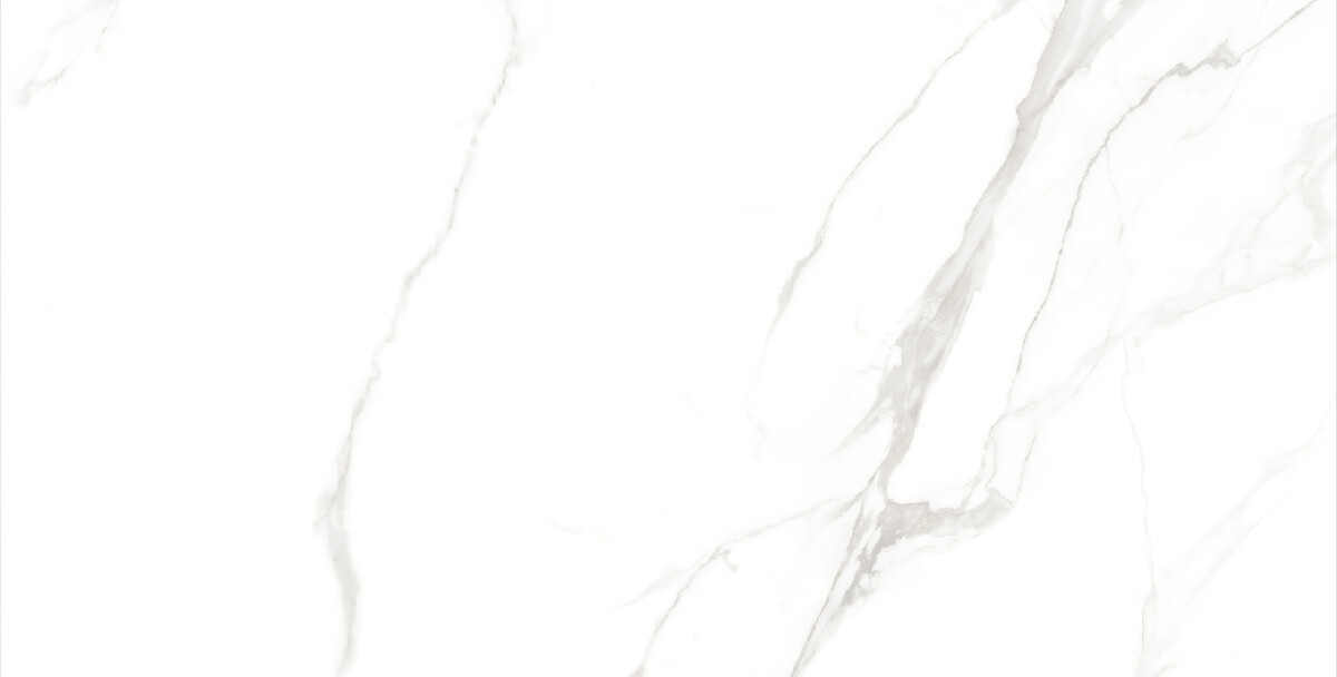 Керамогранит 7930138702428 Eurotile Kinder White Glossy 60x120