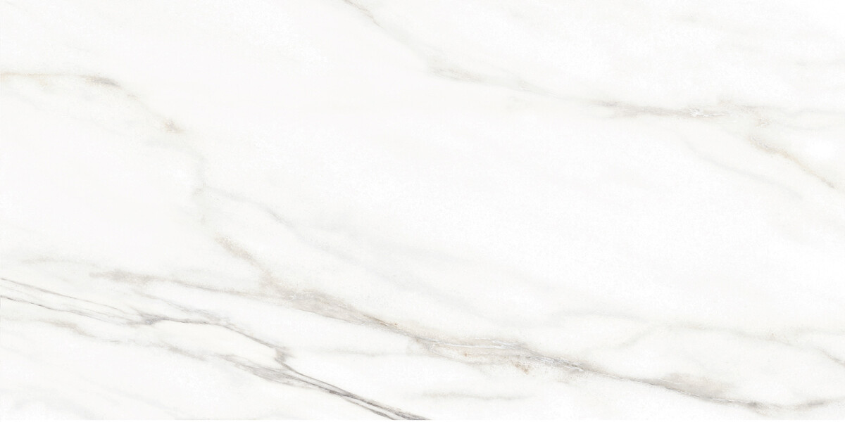 Alma Ceramica Euphoria Керамическая плитка настенная 249 x 500 x 7 TWU2550EPH04