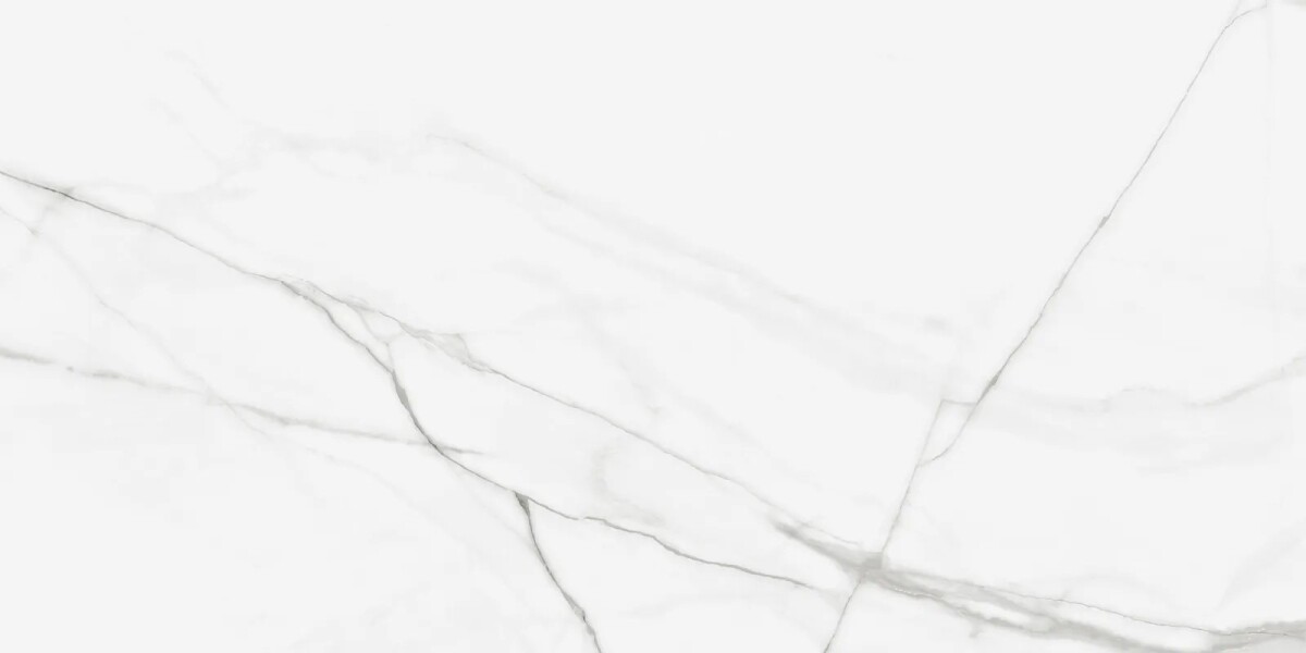 Керамогранит Artkera Group GP60120PUR00M Pure Marble матовый 600 x 1200 x 10 мм.