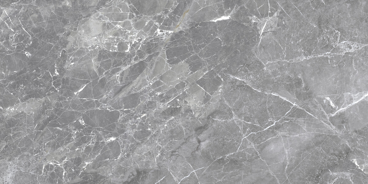 Delacora Greiny Graphite Керамогранит 600 x 1200 x 9.5 60120GRY25M
