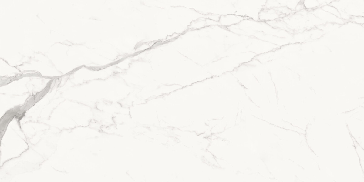 Delacora Porfido Carrara Керамогранит 600 x 1200 x 9.5 60120PFC15M