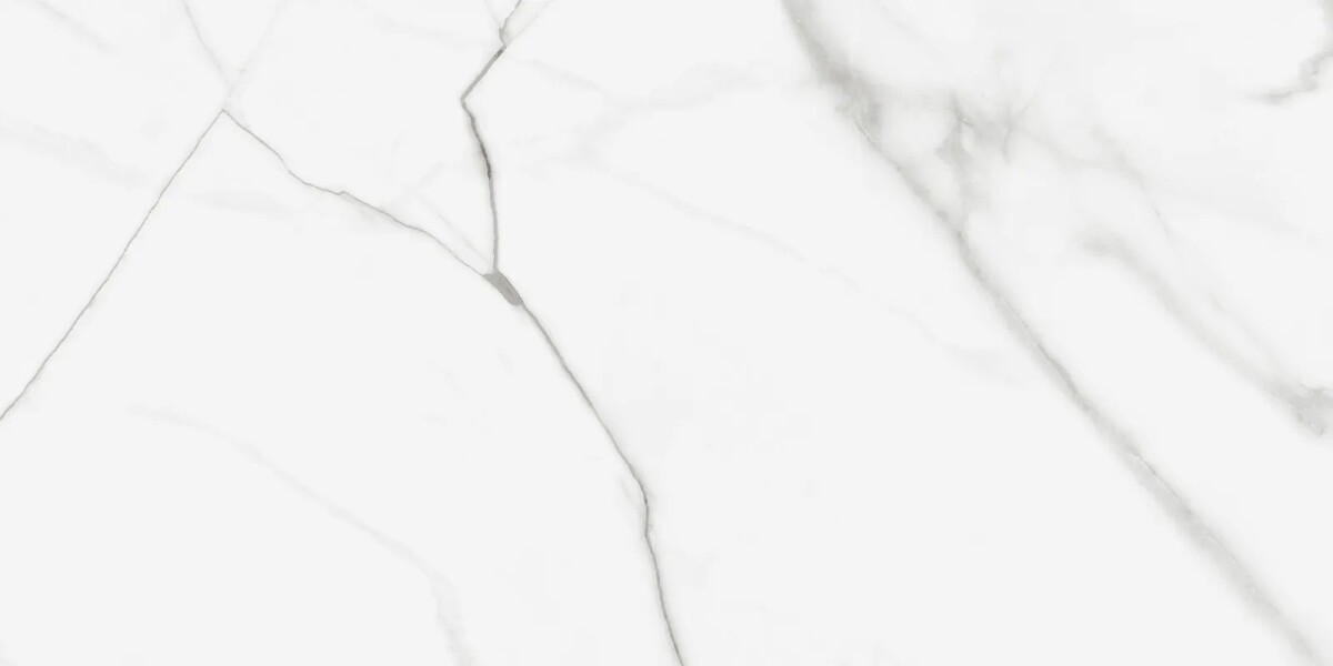 Керамогранит Artkera Group GP60120PUR00M Pure Marble матовый 600 x 1200 x 10 мм.
