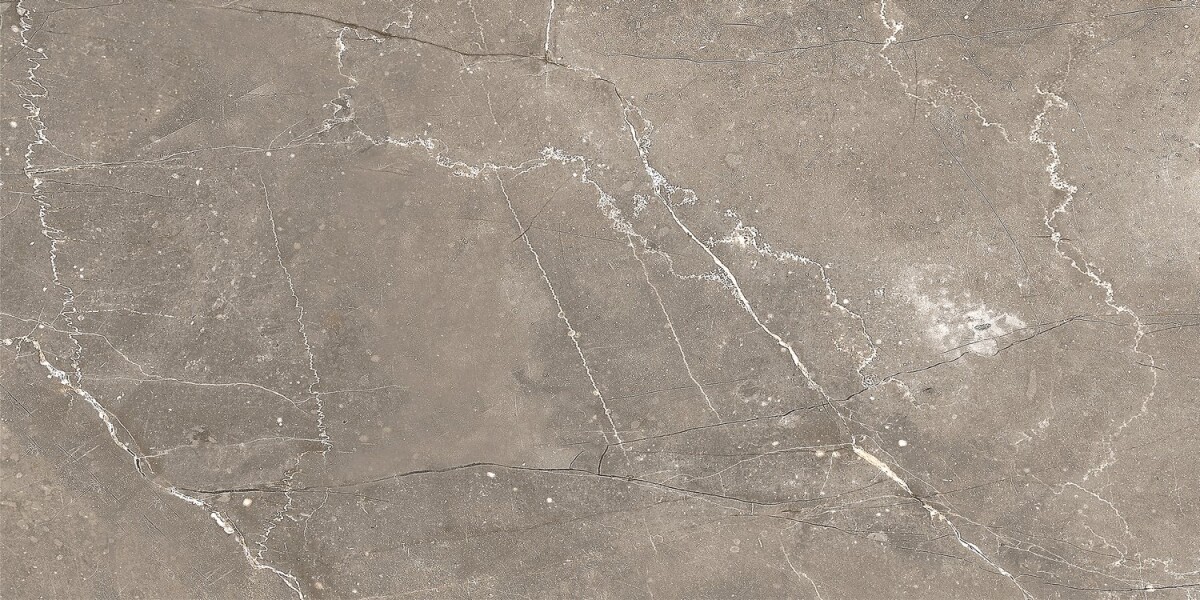 GT122VG Плитка облиц. Siluet GT Кор. 50*25 _ 1 74,25