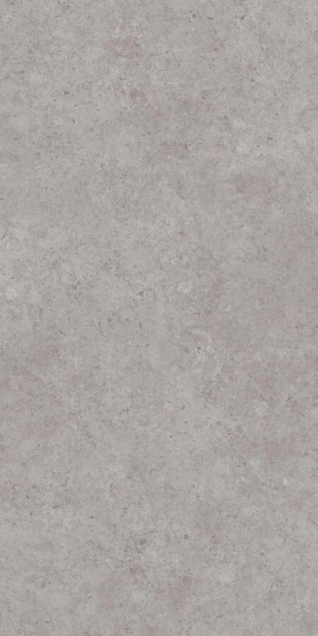 Kerama Marazzi DD590600R Про Лаймстоун АТ серый натуральный обрезной 119,5х238,5 керамогранит