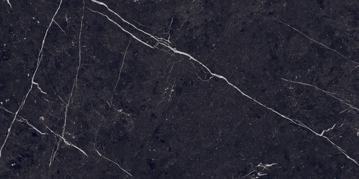Керамогранит 7930138702589 Eurotile Pietra Negro High Glossy 60x120