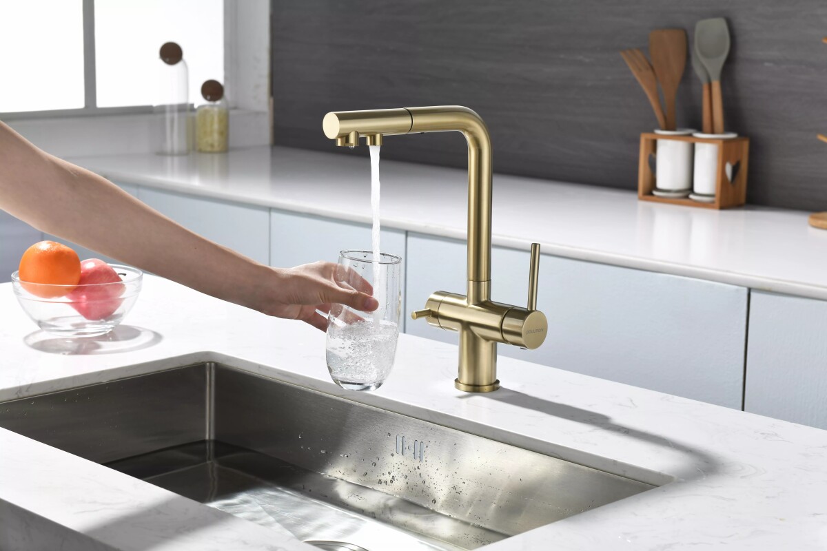 Смеситель для кухни с выдвижным изливом Serpentine Se213222-LG