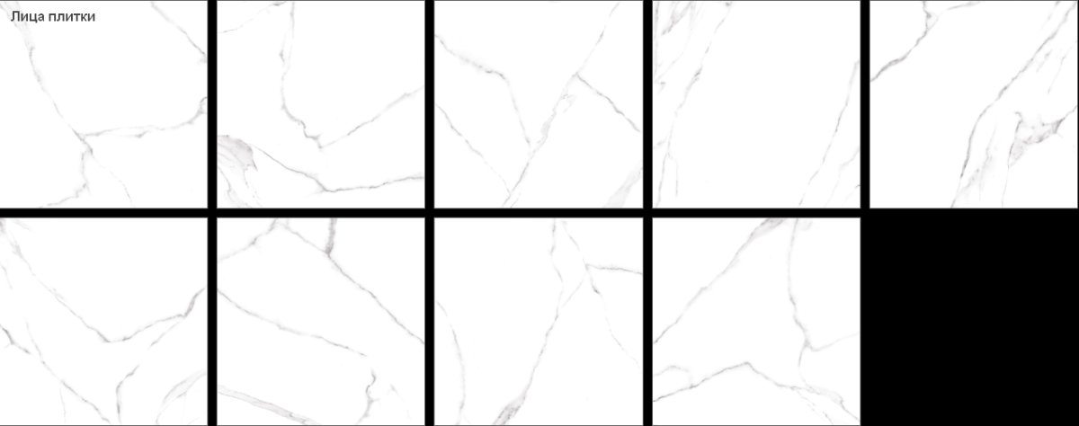 Alma Ceramica Каррара / Carrara Керамогранит 600 x 600 x 9 GFU04CRR00R