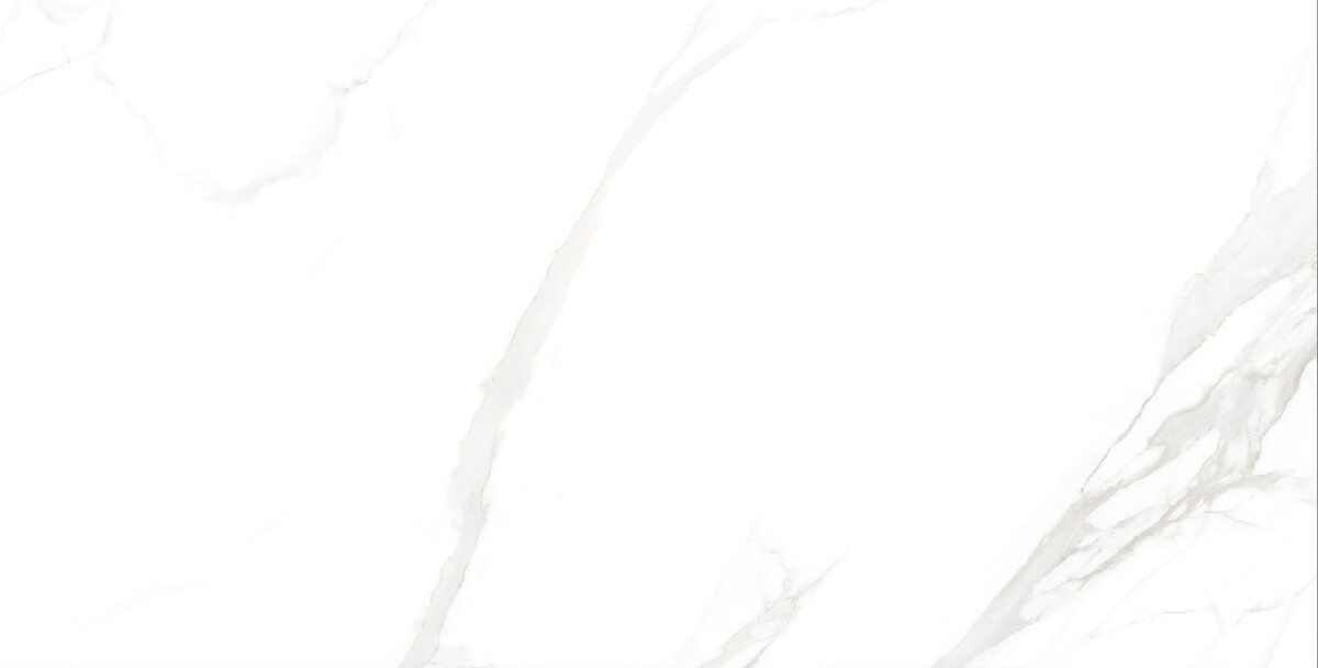 Керамогранит 7930138702428 Eurotile Kinder White Glossy 60x120
