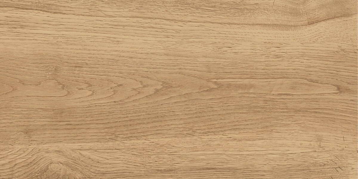 GT220VG Керамогранит Florida_GT Беж. 30x60 158,32