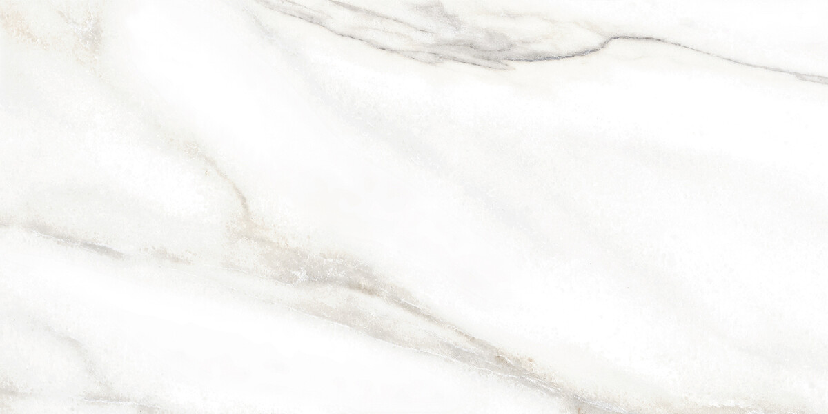 Alma Ceramica Euphoria Керамическая плитка настенная 249 x 500 x 7 TWU2550EPH04