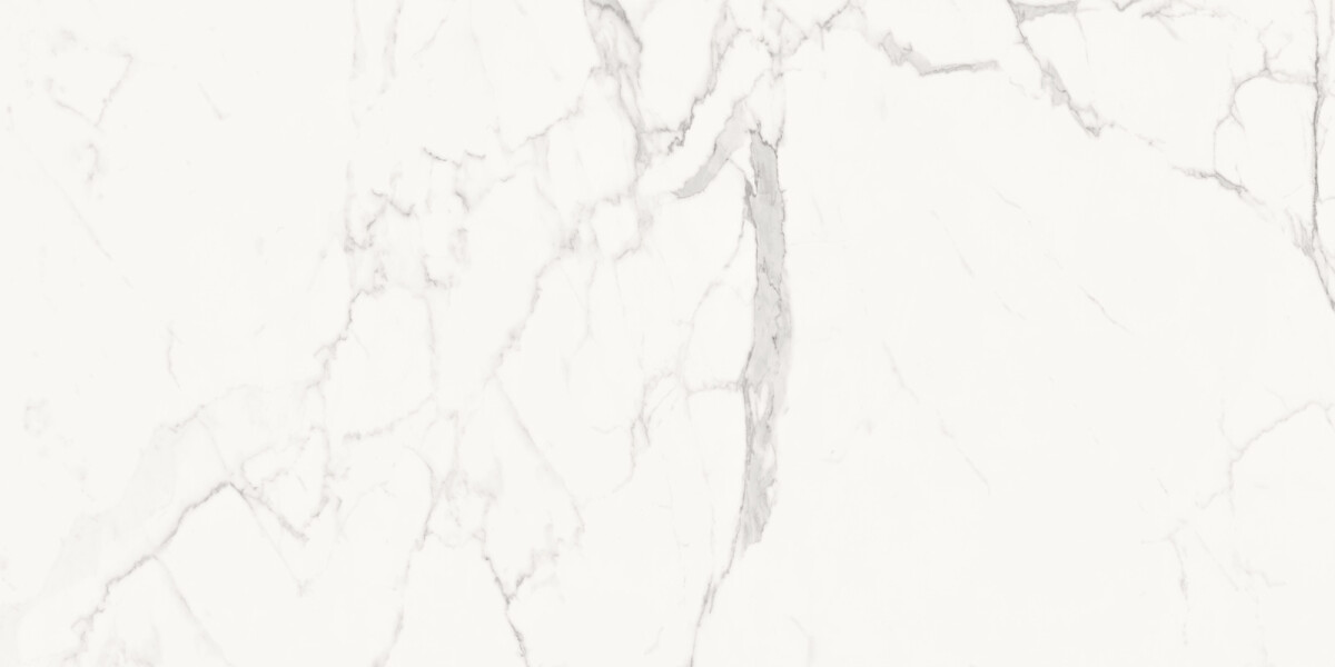 Delacora Porfido Carrara Керамогранит 600 x 1200 x 9.5 60120PFC15M