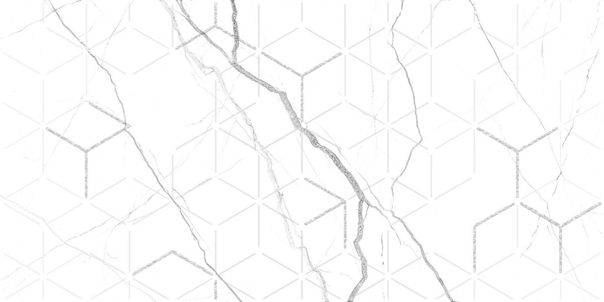 GT124VG Декор кер. Siluet GT Бел. 50*25 _ 1 7