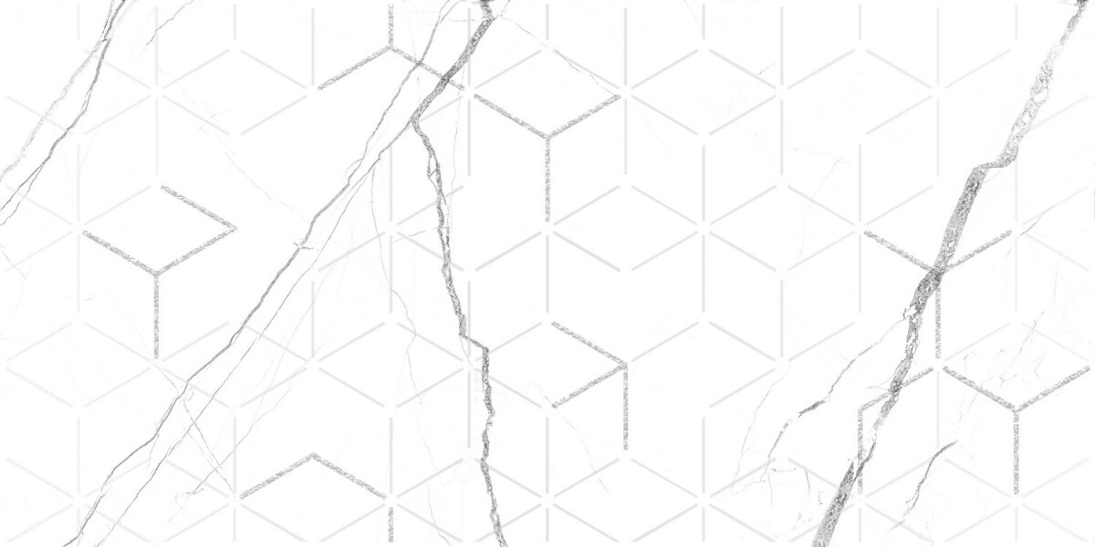 GT124VG Декор кер. Siluet GT Бел. 50*25 _ 1 7