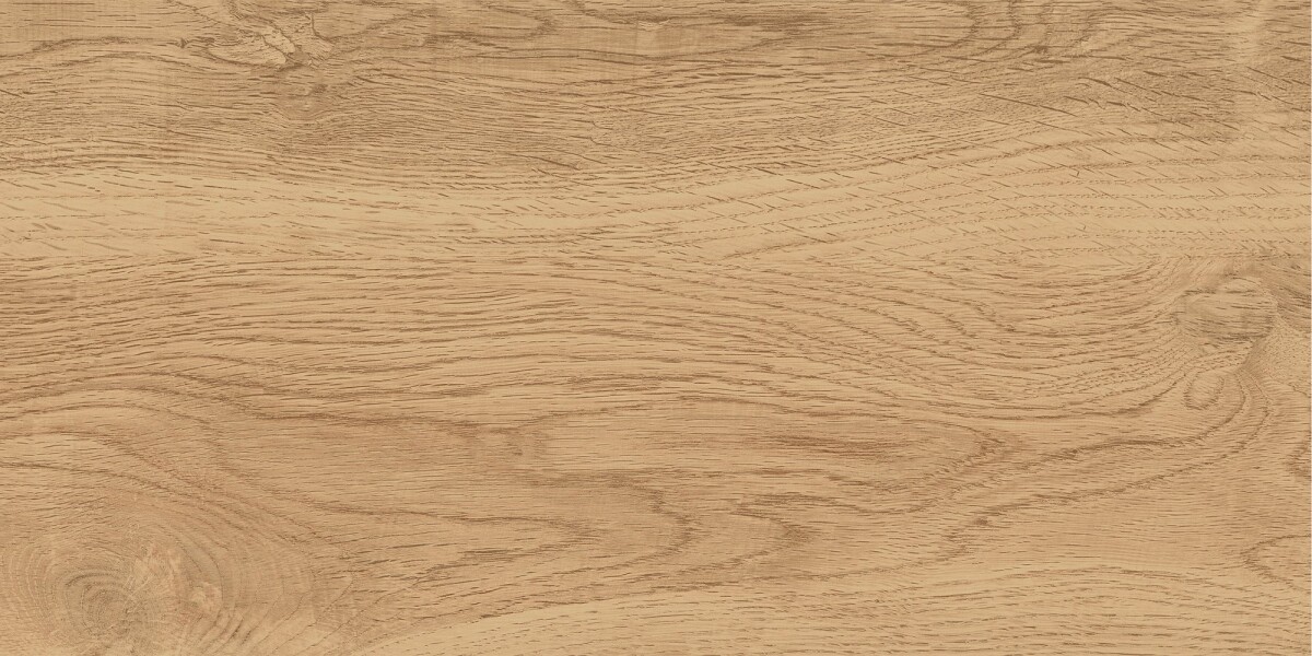 GT220VG Керамогранит Florida_GT Беж. 30x60 158,32