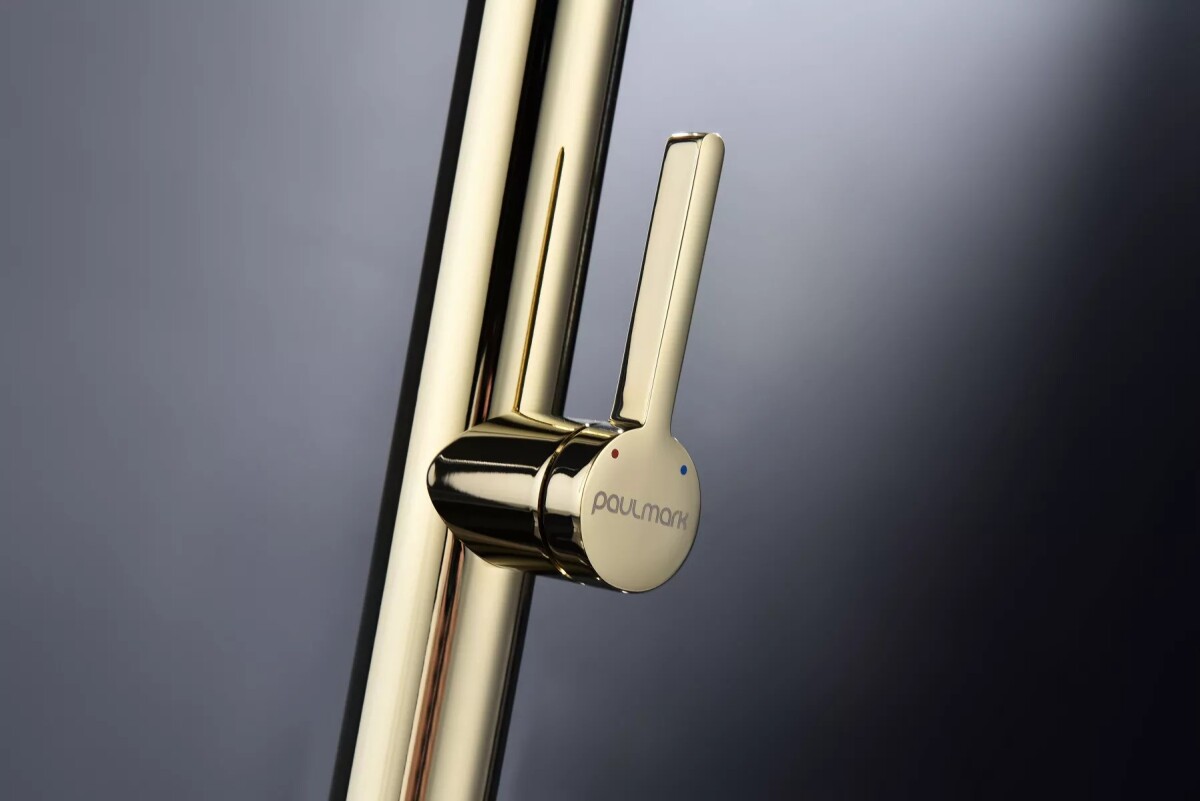 Смеситель для кухни с гибким изливом Leader Le214101-G