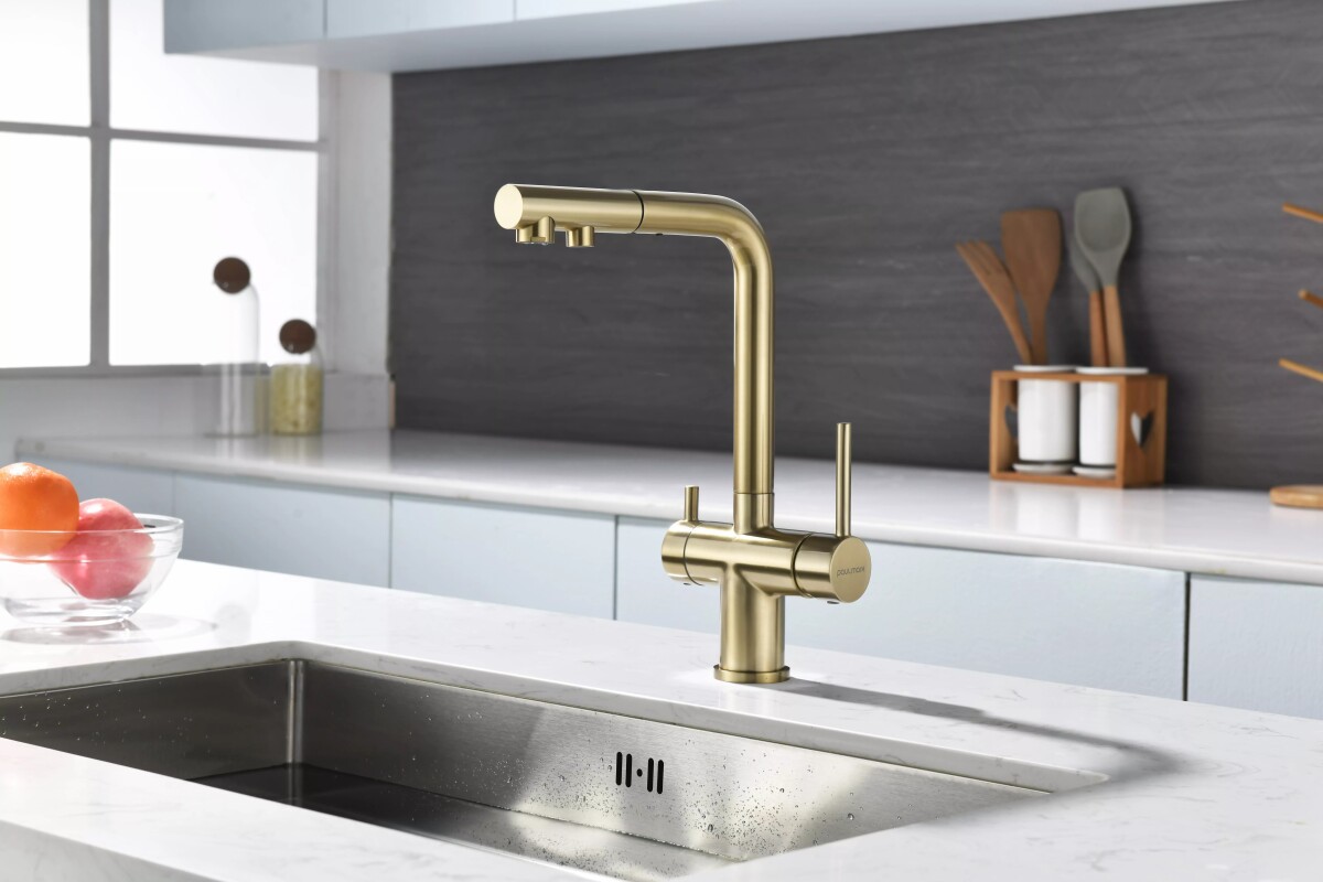 Смеситель для кухни с выдвижным изливом Serpentine Se213222-LG