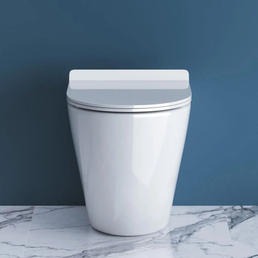 Унитаз приставной напольный BelBagno Sfera-r BB2141CBR/SC