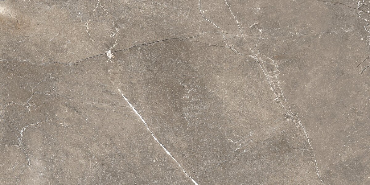 GT122VG Плитка облиц. Siluet GT Кор. 50*25 _ 1 74,25