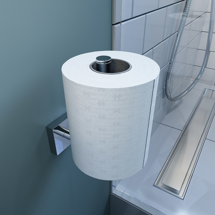 Iddis держатель для туалетной бумаги EDISBS0i43