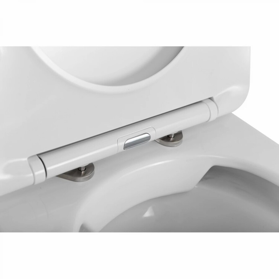 Унитаз приставной BelBagno FLAY-R BB1003CBR/SC