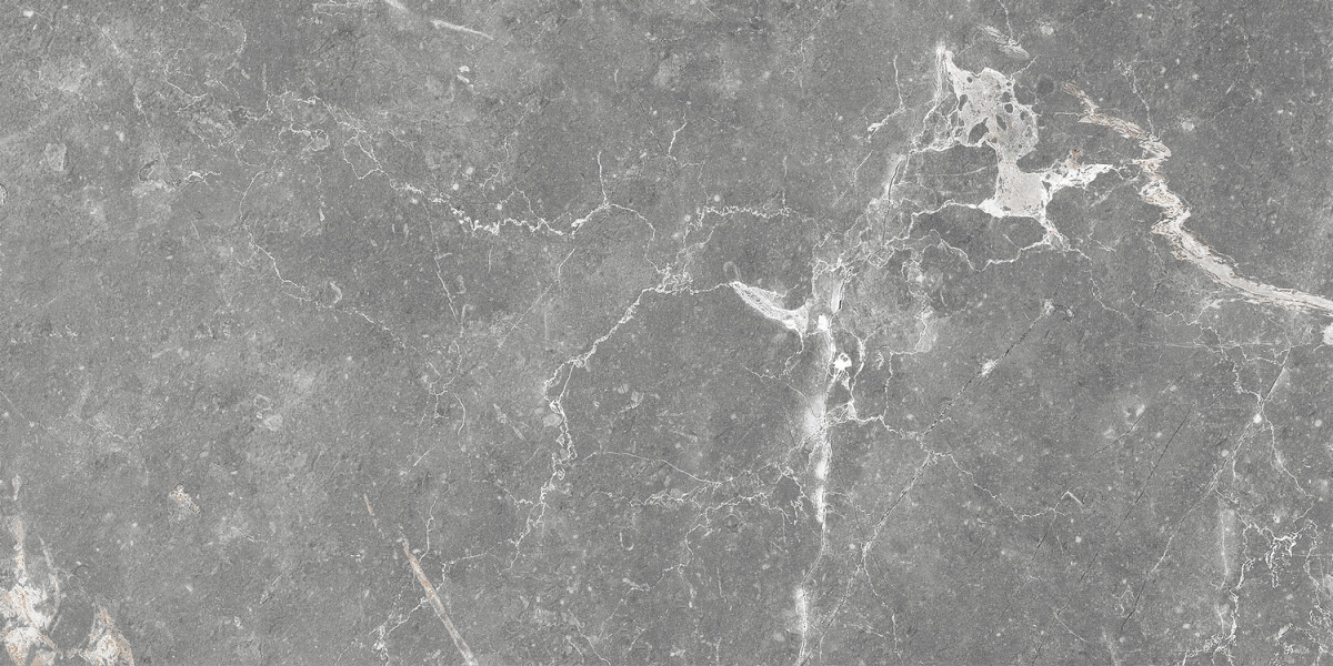 GT99VG Плитка облиц. Capella GT Сер. 50*25 _ 1 74,25