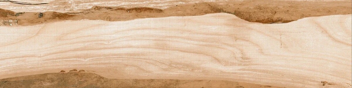Керамогранит 15 PH 0054 Eurotile Phoenix 15x60