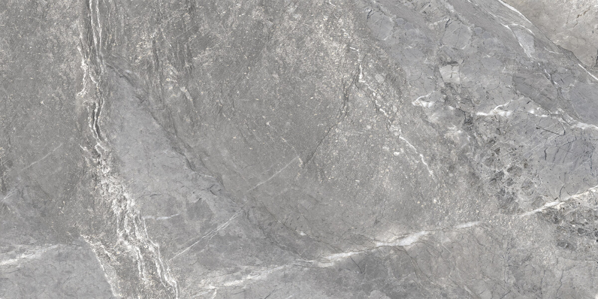 Delacora Wild Dark Керамогранит 600 x 1200 x 9.5 D120260M