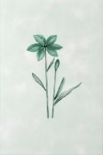 Газкерамика Валентино Георгин, Цветы 20х30см декор настенный зеленый глянцевый