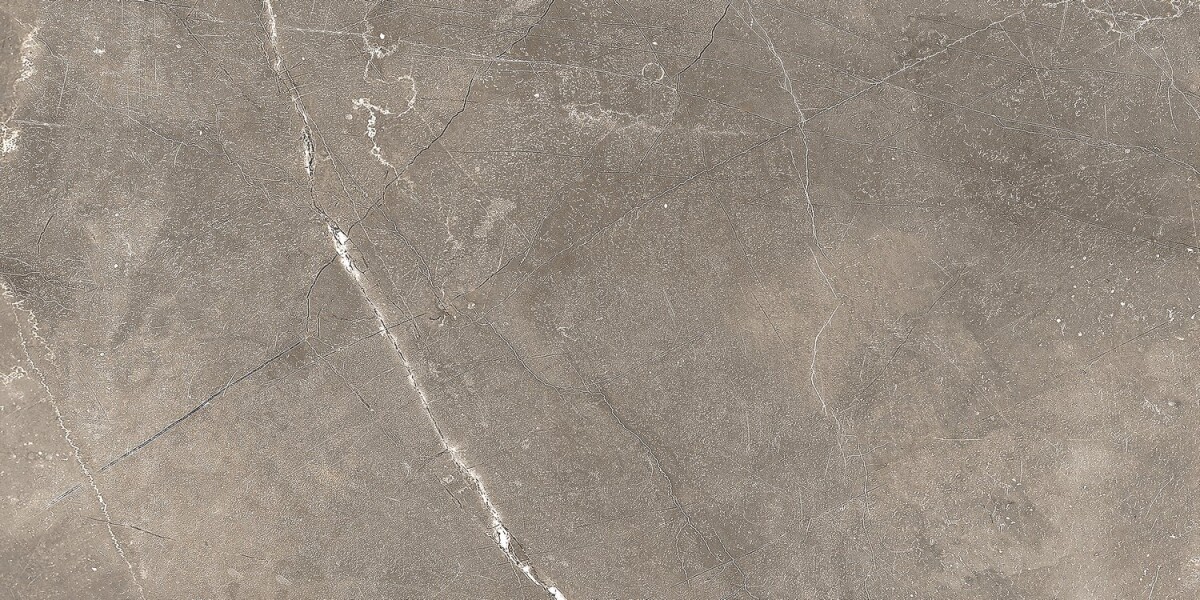 GT122VG Плитка облиц. Siluet GT Кор. 50*25 _ 1 74,25