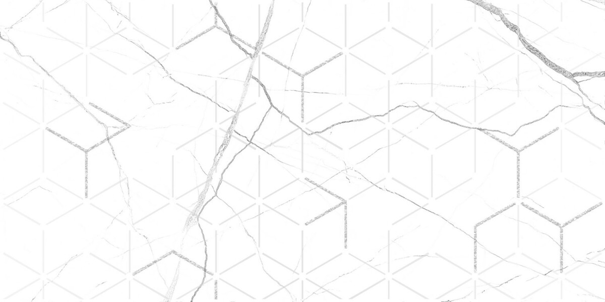 GT124VG Декор кер. Siluet GT Бел. 50*25 _ 1 7