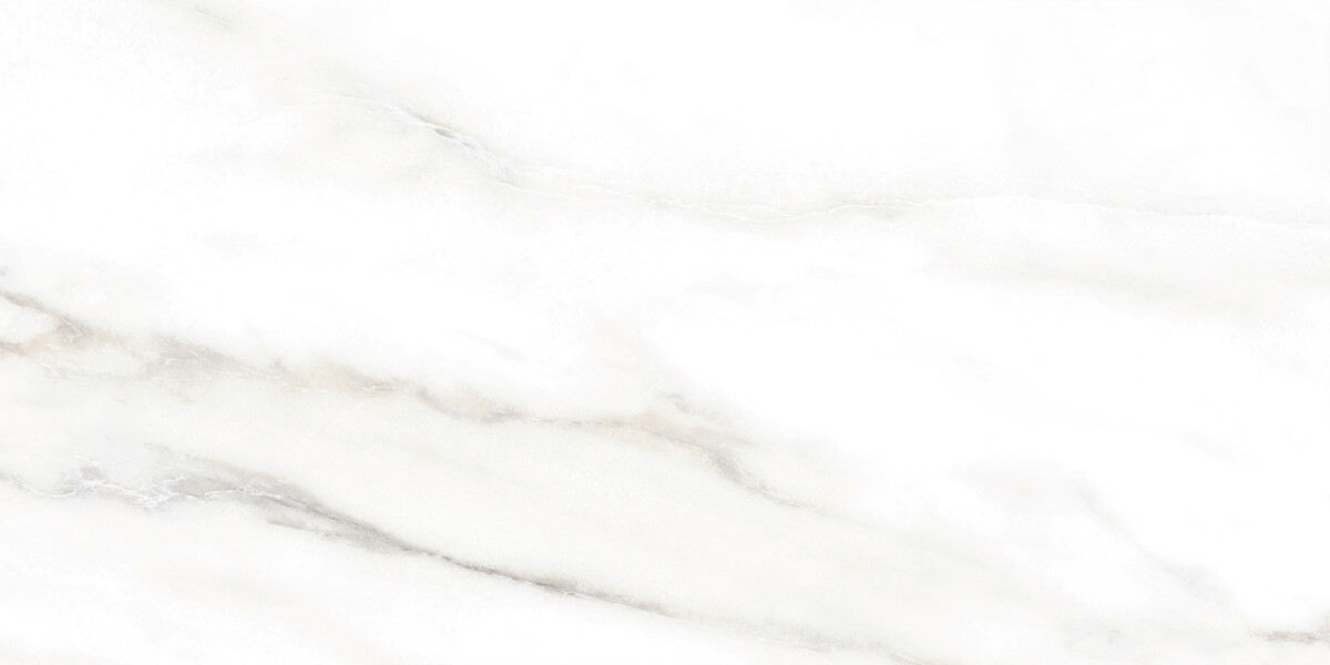 Alma Ceramica Euphoria Керамическая плитка настенная 249 x 500 x 7 TWU2550EPH04