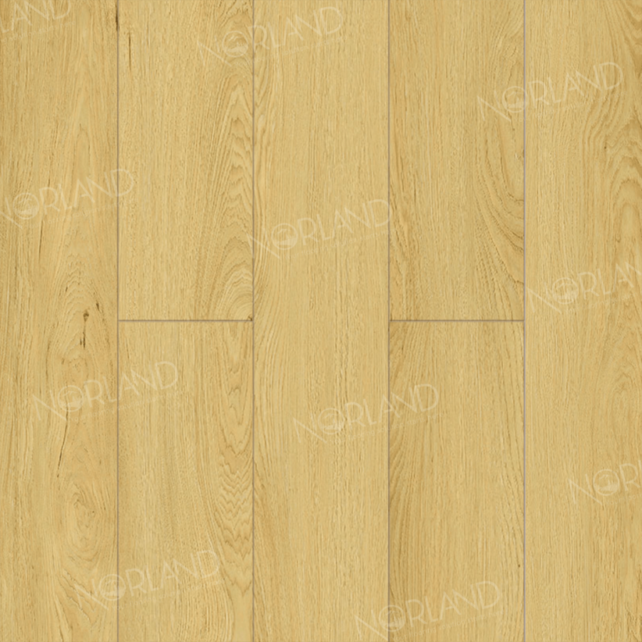 Ламинат Alpine Floor Norland Elegant LF301-08 Дуб Элмер 1220х198 х8 mm