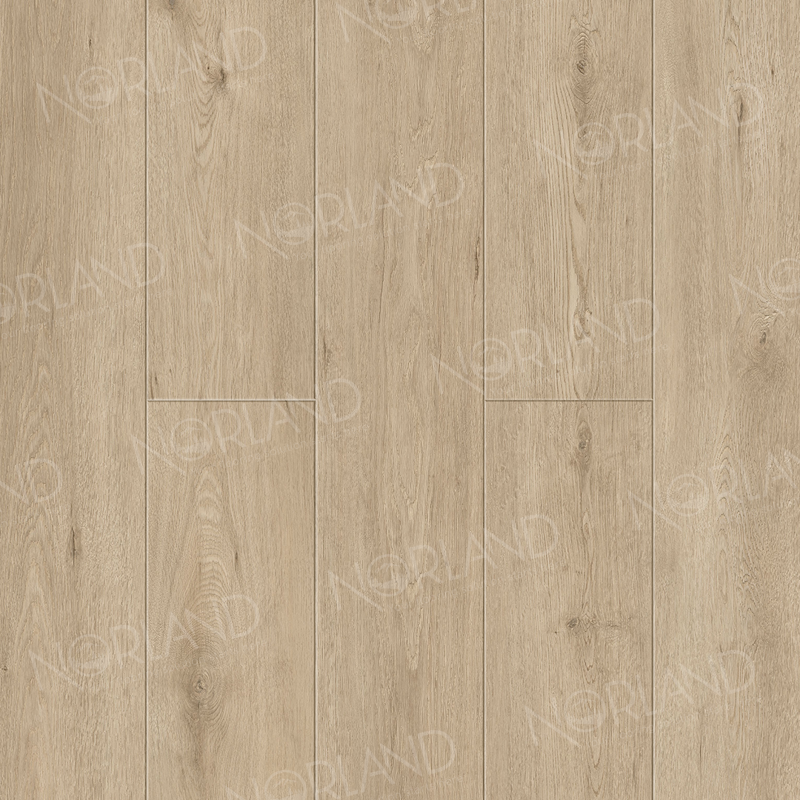 Alpine Floor Norland Sigrid Superior SPC ламинат Abbi 1008-1 ABA 1220 х 183 x 8 mm
