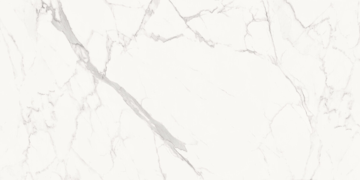 Delacora Porfido Carrara Керамогранит 600 x 1200 x 9.5 60120PFC15M