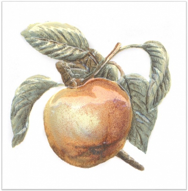 Kerama Marazzi Оранжерея 9х9 см декор настенный яблоко