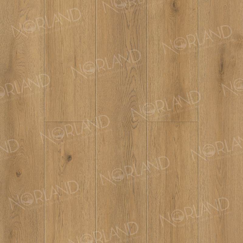 Alpine Floor Norland Sigrid Plus SPC ламинат Blake 1006-10-R 1220 х 183 х 4.0 mm