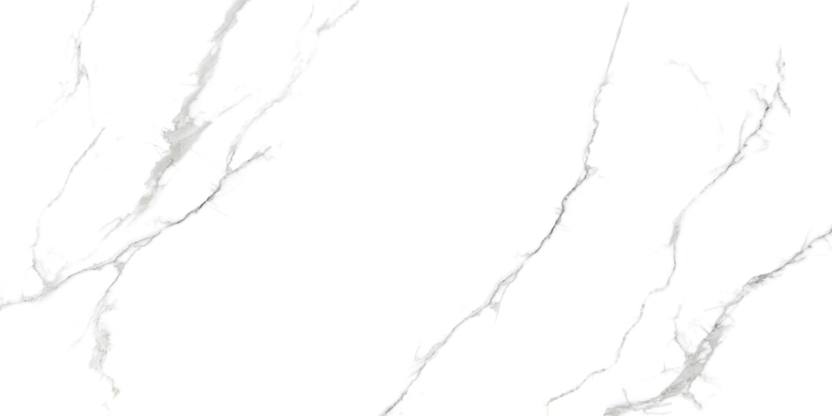 Керамогранит 7930138702374 Eurotile Capitol Matt 60x120