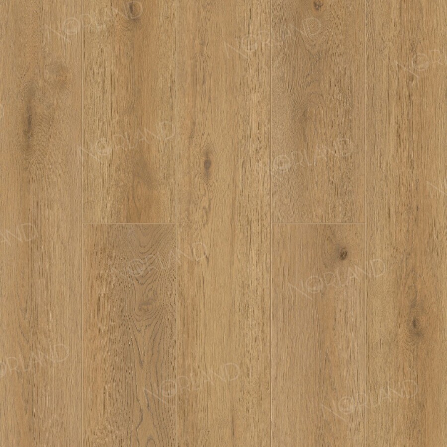 Alpine Floor Norland Sigrid Superior SPC ламинат Blake 1008-2 ABA 1220 х 183 x 8 mm