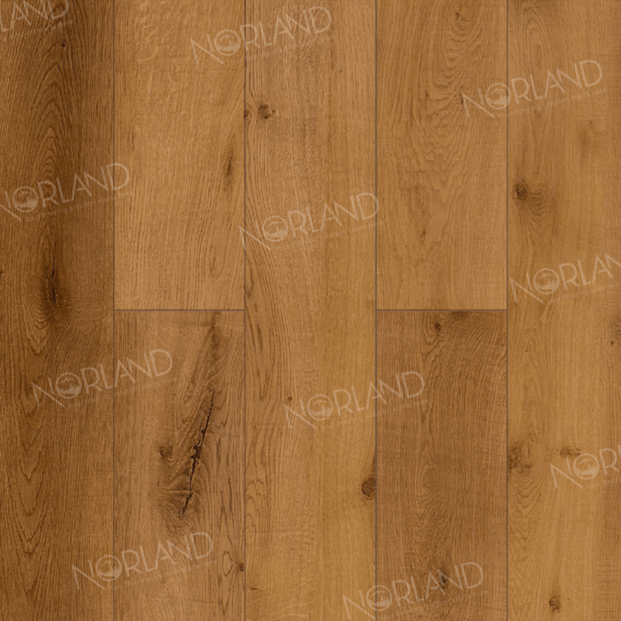 Ламинат Alpine Floor Norland Elegant LF301-13 Дуб Помона 1220х198 х8 mm